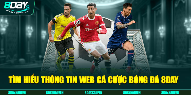 tim-hieu-thong-tin-web-ca-cuoc-bong-da-8day