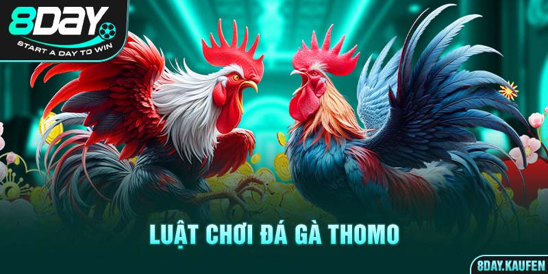 luat-choi-da-ga-thomo