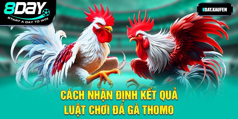 Cách nhận định kết quả luật chơi đá gà thomo