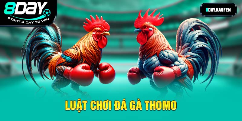 Luật chơi đá gà thomo